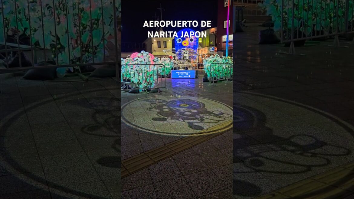 Aeropuerto de Narita Japon y Ciudad de Narita #shorts #short #vlog #vlogs #japon #japan