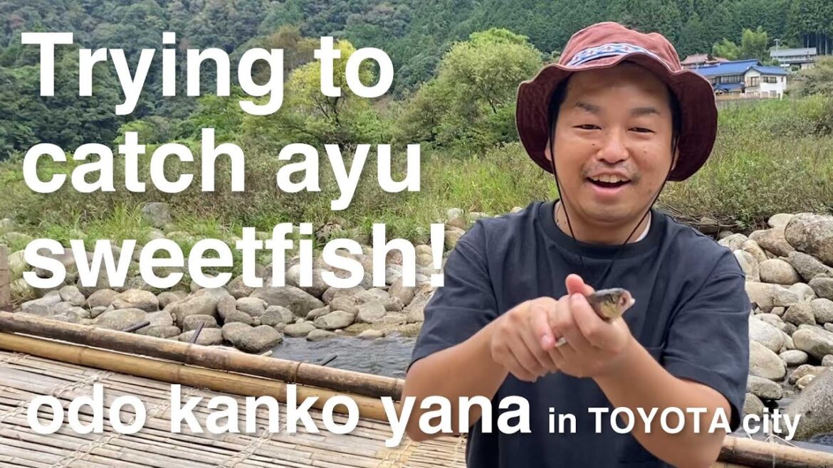 【TOYOTA _Yahagi River】Try your hand at catching ayu sweetfish！