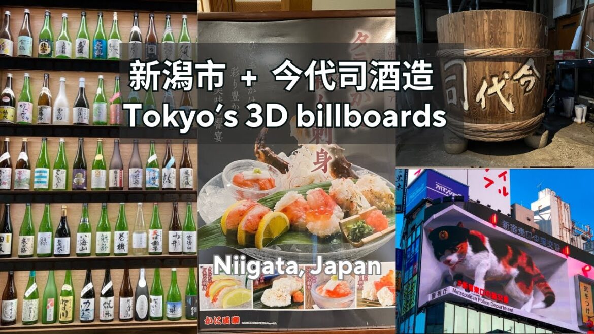 新潟市 + 今代司酒造 + にいがた総おどり祭 + Tokyo’s 3D billboards + かに道楽, Japan | Sep 16, 2023 | stay at 東横 INN 新潟駅前