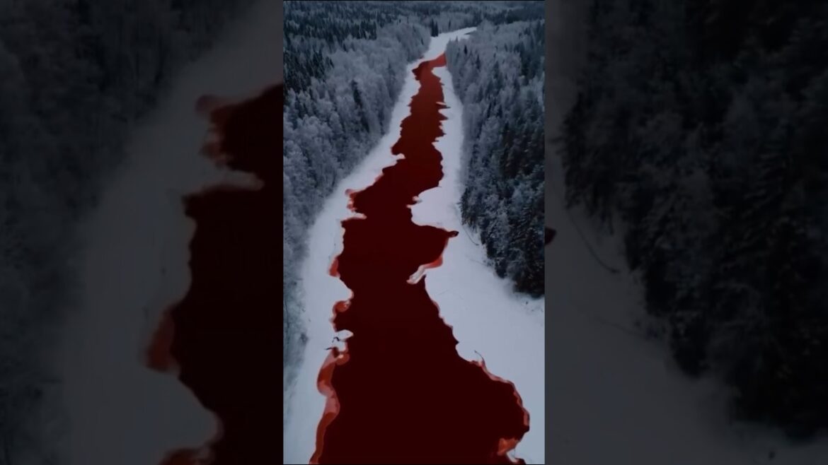 Places On Earth That Don't Feel Real😱(South Africa,Japan,Georgia)#adventure#travel#explore#nature