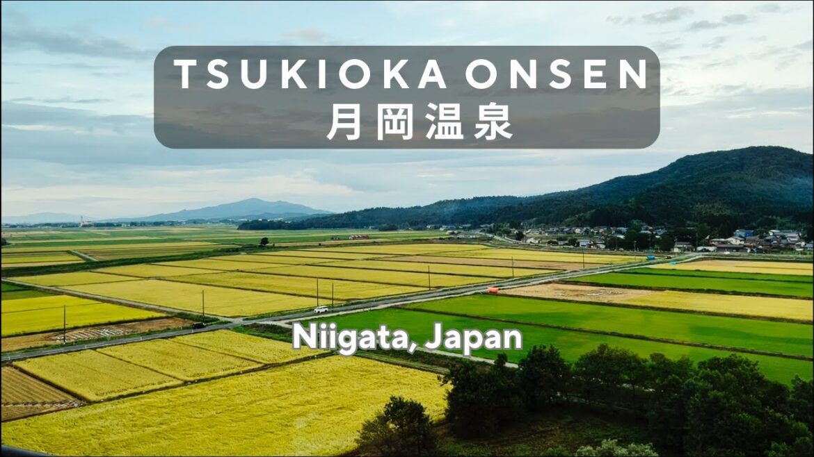 燕三条 🚅 新潟市 🚅月岡温泉 (Tsubamesanjo 🚅 Niigata City 🚅 Tsukioka Onsen), Japan | Sep 15, 2023 | stay at 華鳳 ♨️ 燕三条 🚅 新潟市 🚅月岡温泉 (Tsubamesanjo 🚅 Niigata City 🚅 Tsukioka Onsen), Japan | Sep 15, 2023 | stay at 華鳳 ♨️