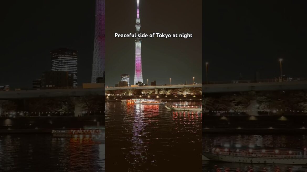 If you go to Japan, don’t skip these places to visit in Tokyo at night, beyond Shinjuku.