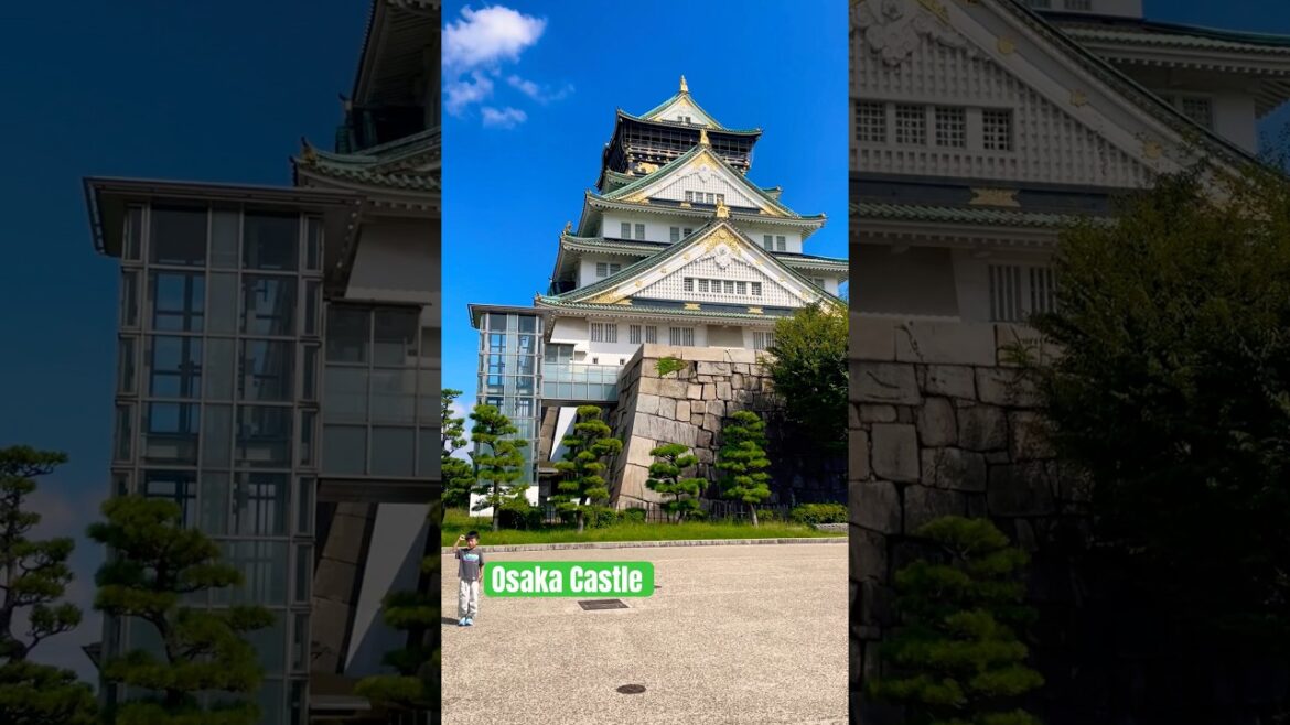 Osaka Castle #music #art #shorts #iphone #japan #osakacity Osaka Castle #music #art #shorts #iphone #japan #osakacity