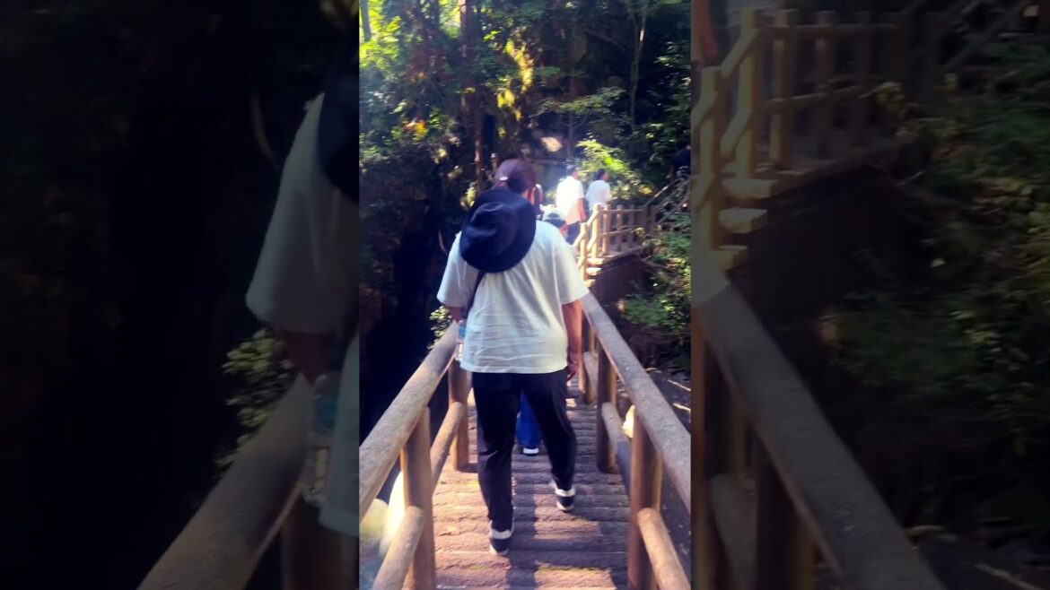 #ryujinwaterfall#nakatsugawa#gifu#japantravel#naturelovers