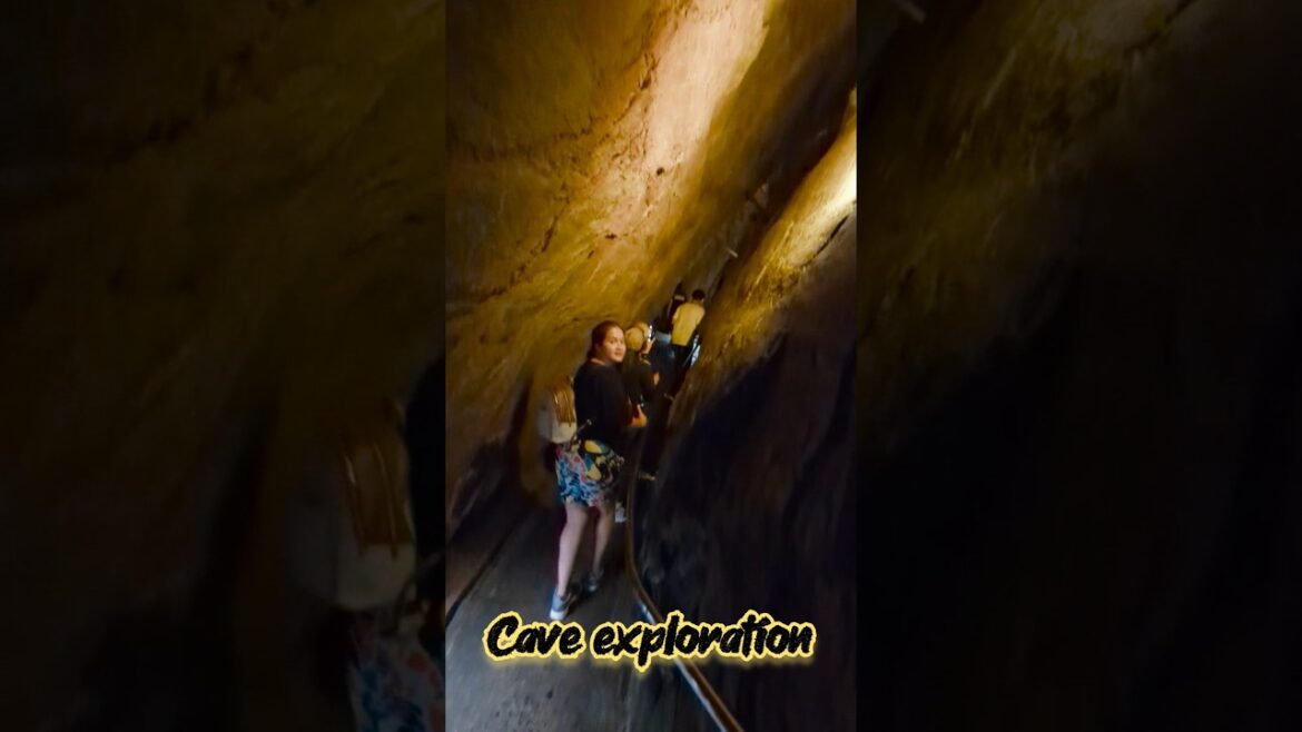 Inside the Cave#exploration #caves #indianajonesadventure #japanholiday