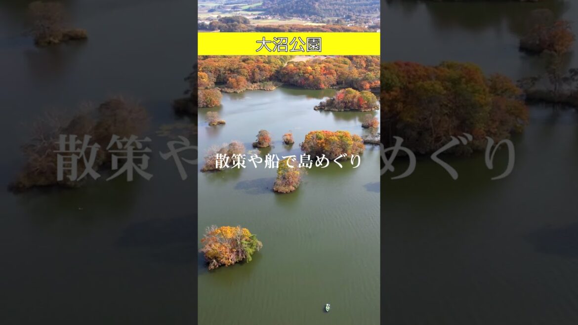 真っ赤に染まる島々～北海道七飯町・大沼公園～ #shorts #北海道 #大沼公園 #紅葉 #ドローン #drone