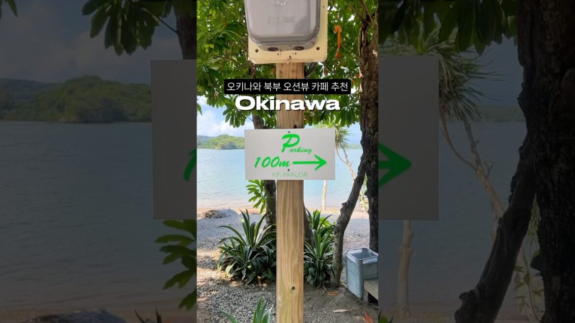 오키나와 북부 오션뷰 카페 추천#fifiparlor