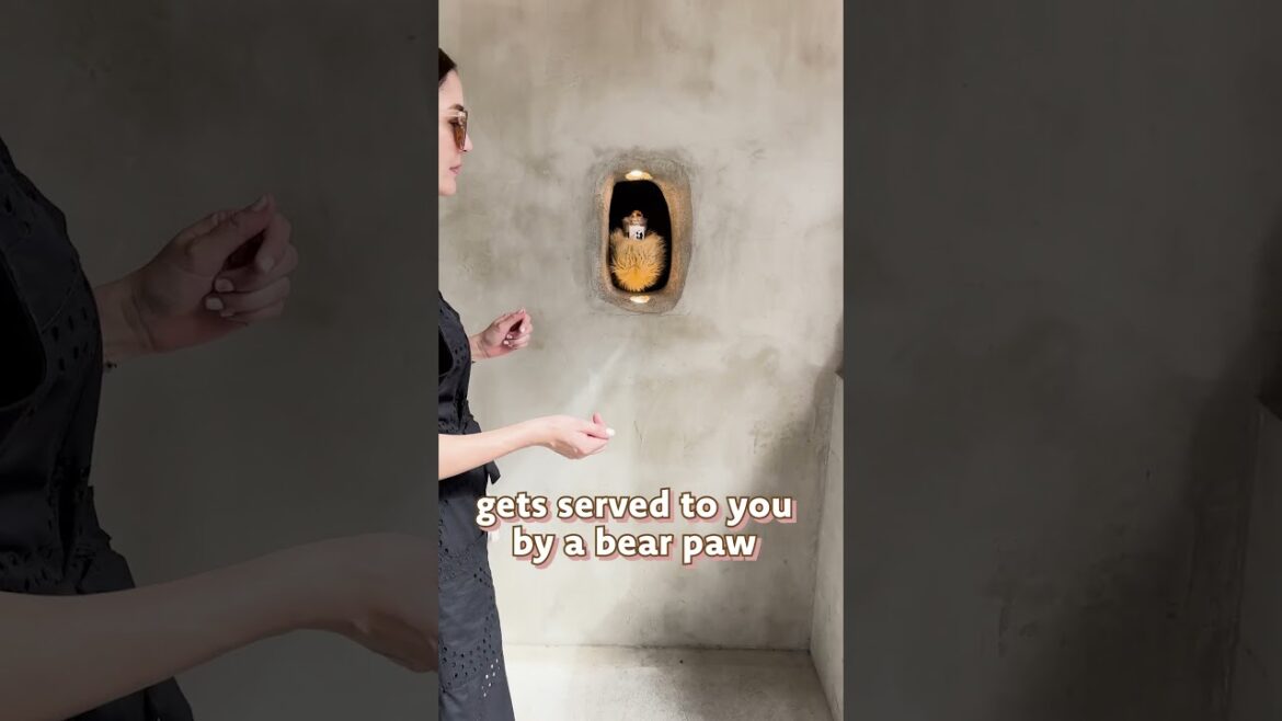 The cutest cafe in Osaka! Bear Paw Cafe (Kumanote Cafe) #shorts