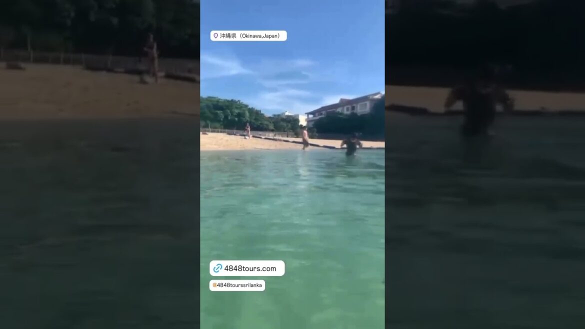 Okinawa 🇯🇵 Japan 🈹🎌🎎⛰️