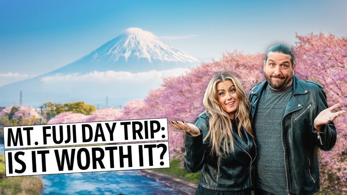 Mt Fuji Day Trip from Tokyo | Bullet Train, Hakone Ropeway, Lake Ashi, Oishi Park, & MORE!