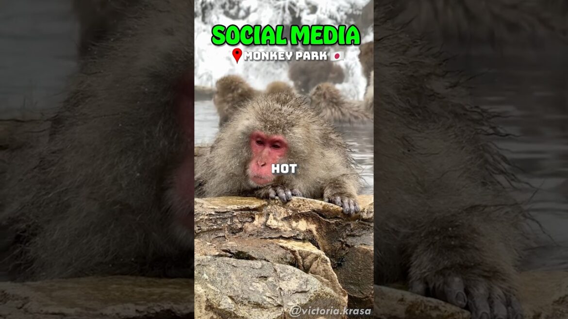 Places that don't feel real...