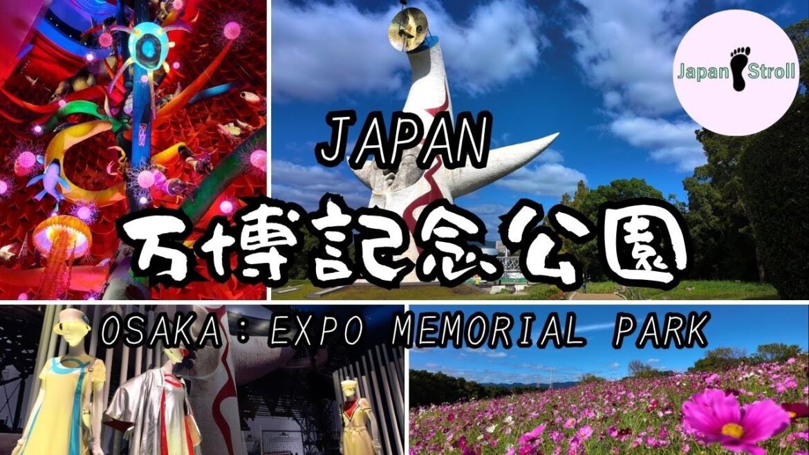 未来と過去が融合した塔とコスモスが咲き誇る公園に行ってみた。『大阪：万博記念公園』