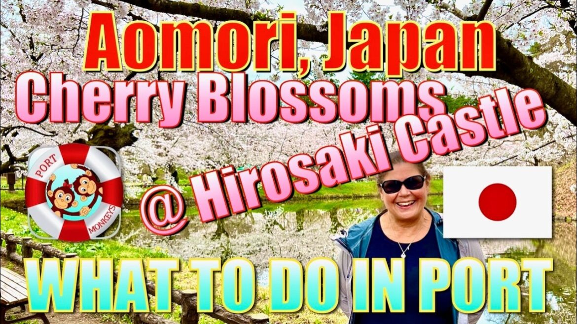 Aomori, Japan - Cherry Blossoms at Hirosaki Castle Tour - What to Do in Port  弘前城の桜ツアー