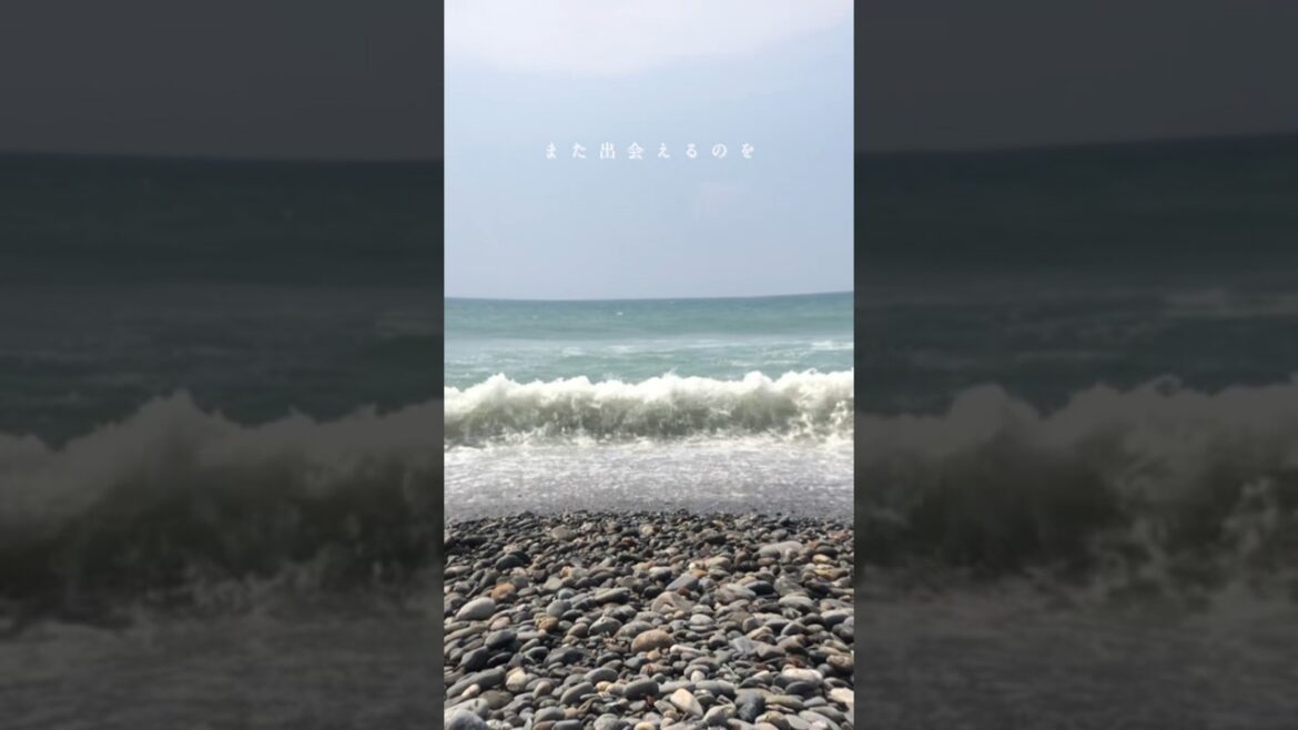 Nakatajima Sand Dunes #shizuka  #japao #japao #travel #carcampingjapan #campingcar #nature Nakatajima Sand Dunes #shizuka  #japao #japao #travel #carcampingjapan #campingcar #nature