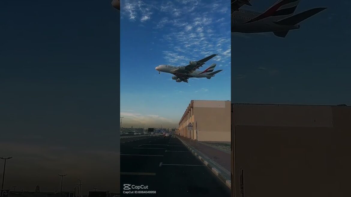 The NBA’s Most Important Date The NBA's Most Important Date