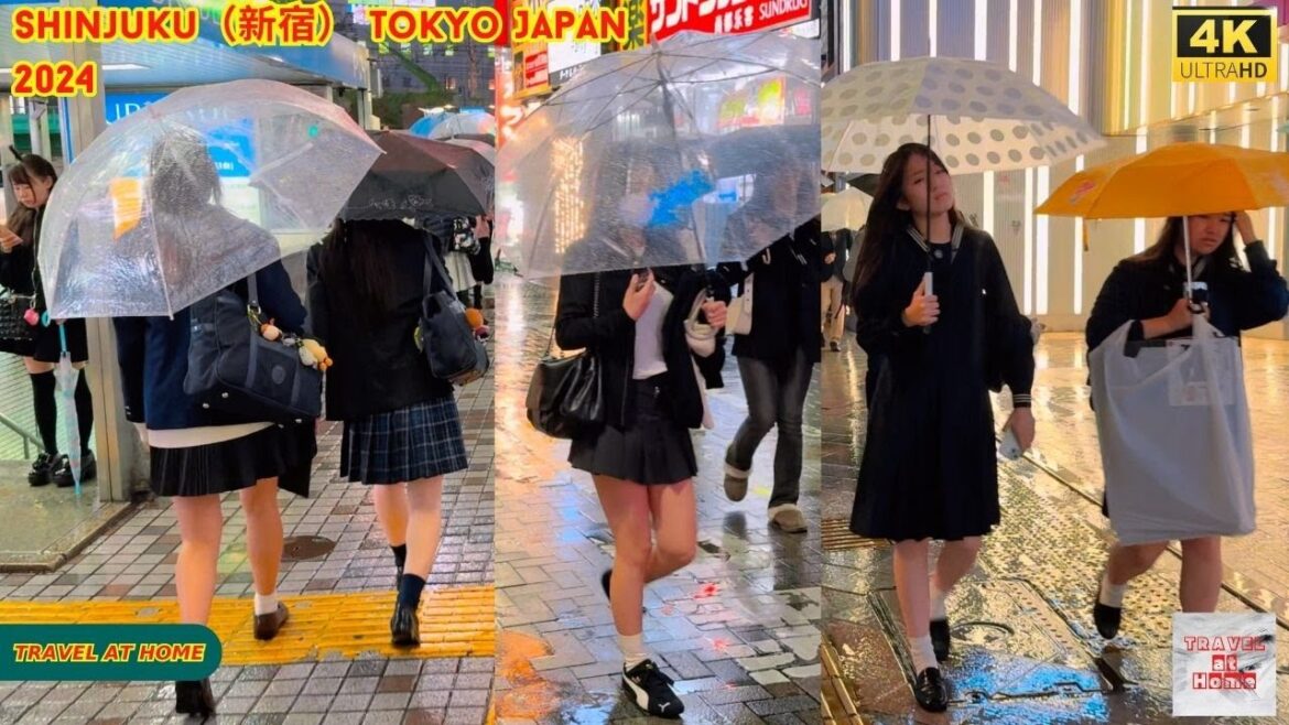 4k hdr japan travel 2024 | Night Rain Walk in Shinjuku(新宿)Tokyo Japan | Relaxing City ambience 4k hdr japan travel 2024 | Night Rain Walk in Shinjuku(新宿)Tokyo Japan | Relaxing City ambience