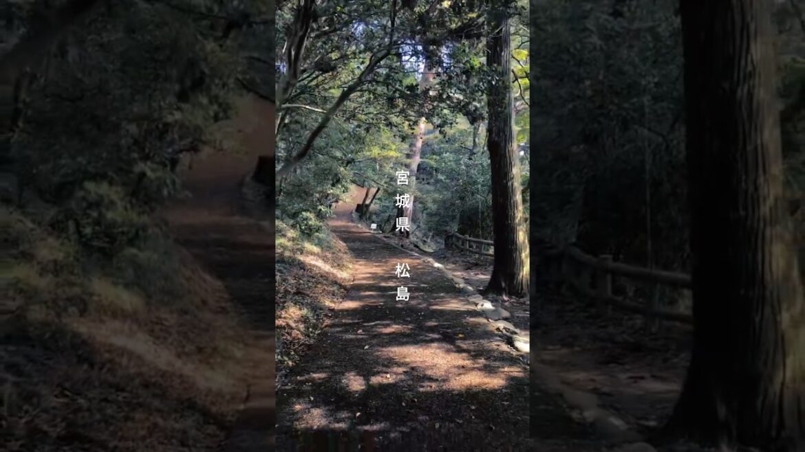 ★【松島 / 宮城】日本三景、宮城の観光地、松島を満喫。#宮城#japan #日本の映えスポット #sightseeing #松島 #日本三景 #miyagi