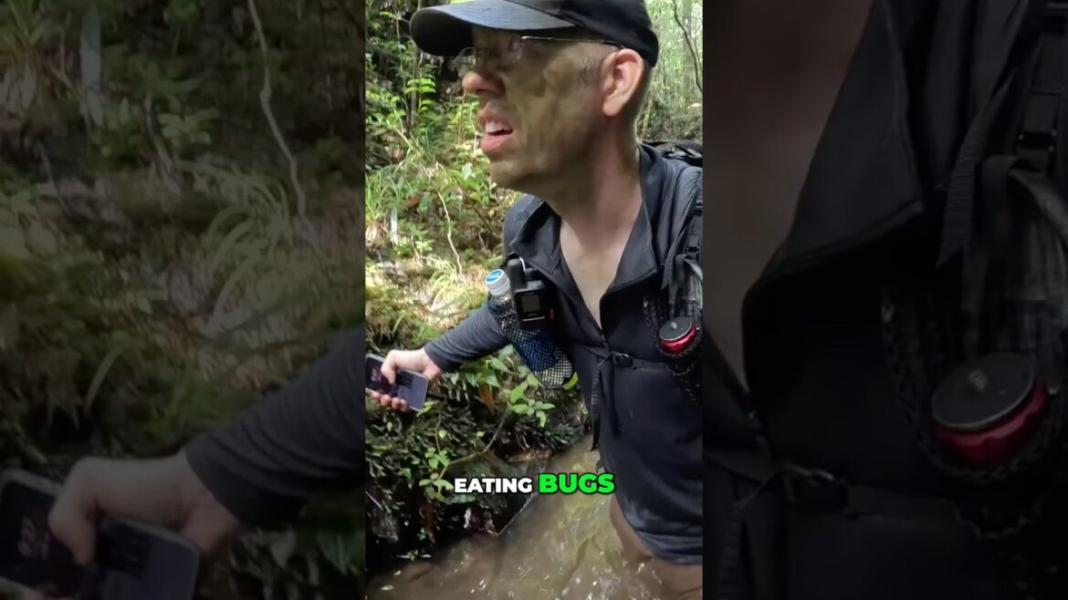 Surviving 6 Days in Okinawa's Jungle #shorts #adventure #outdoors #travel #survival #okinawa #jungle