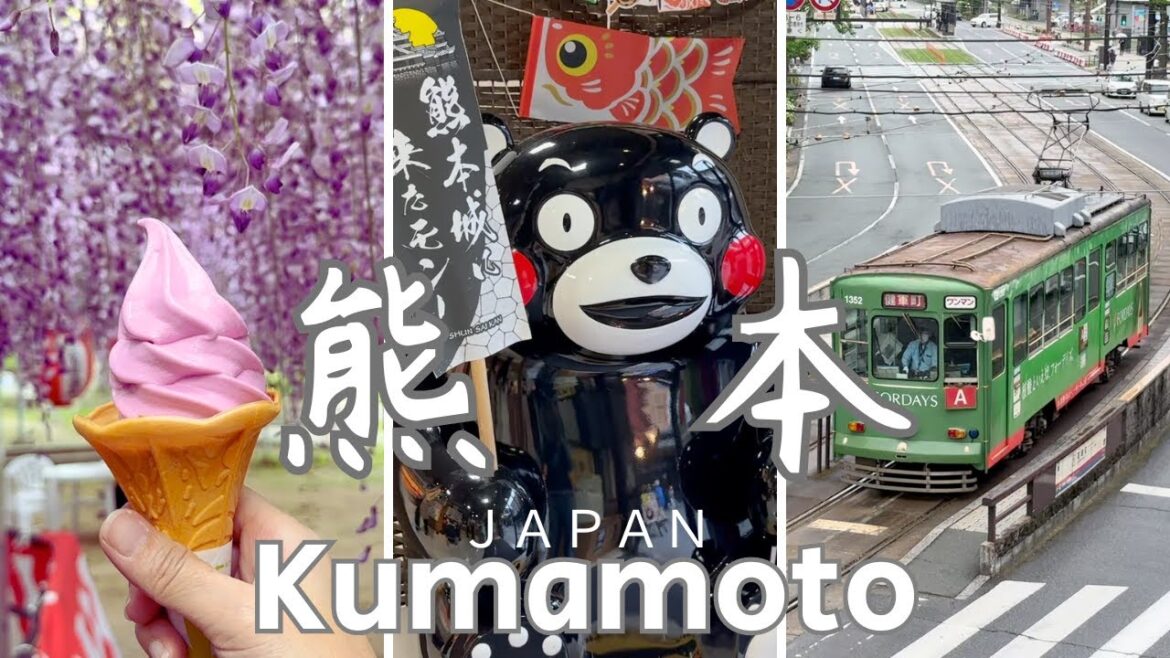 日本九州福岡10天 熊本 絕美紫藤花 中山大藤 熊本城 日本九州福岡10天 熊本 絕美紫藤花 中山大藤 熊本城