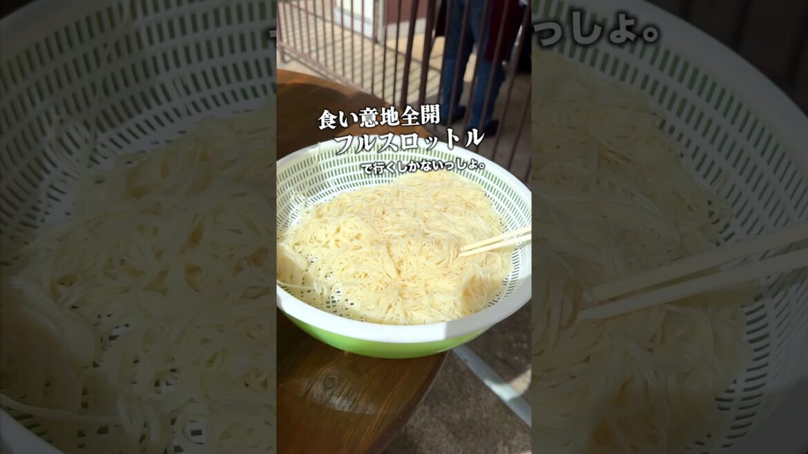オトナが興奮しちゃう穴場の流しそうめんに行ってきた #shorts