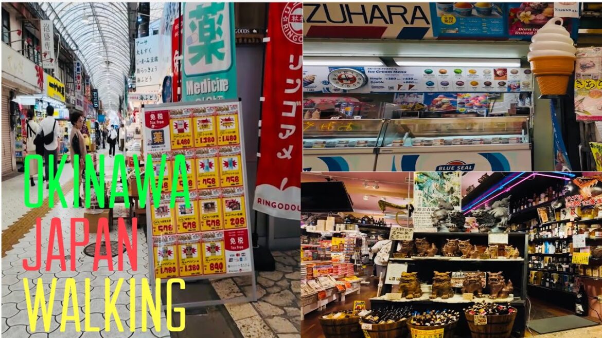 Walking Japan Okinawa kokusaidorijosershina in world