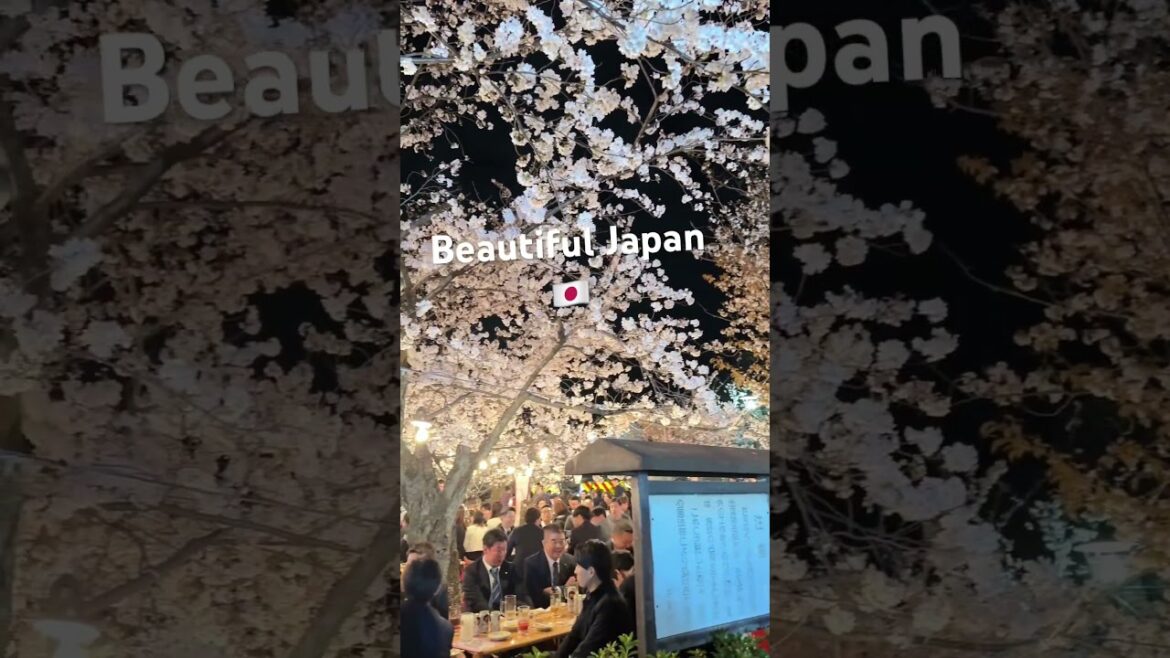 Exploring Japan’s Iconic Spots! Have You Been There? 🇯🇵 | #shorts #japan