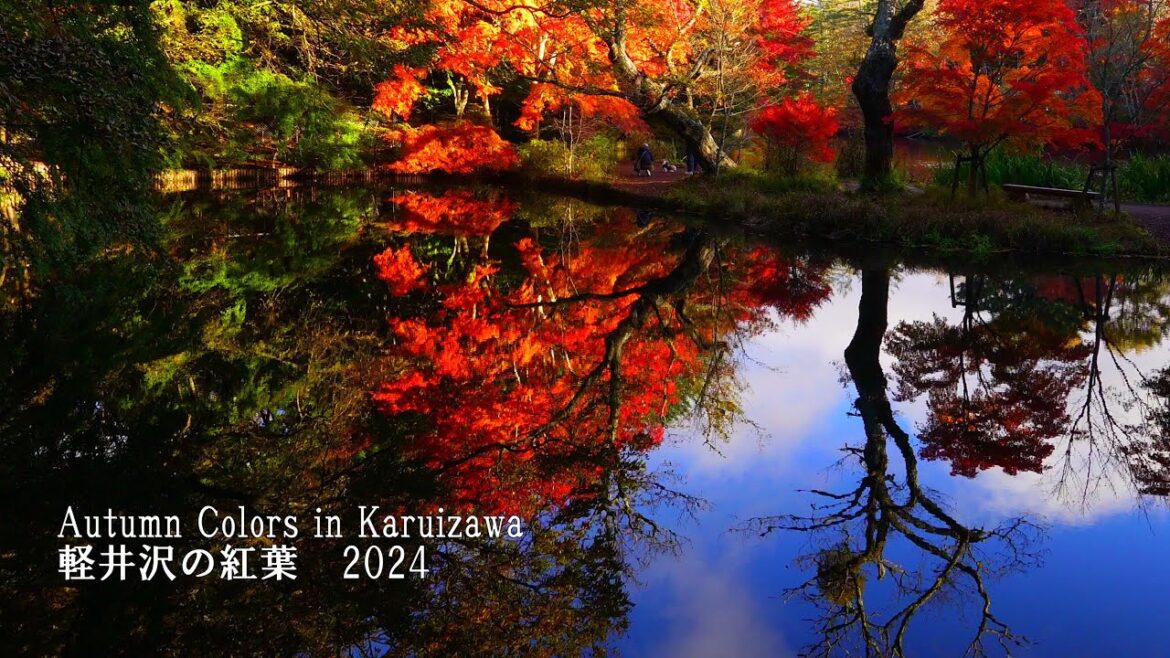 The autumn leaves of Karuizawa are breathtakingly beautiful!