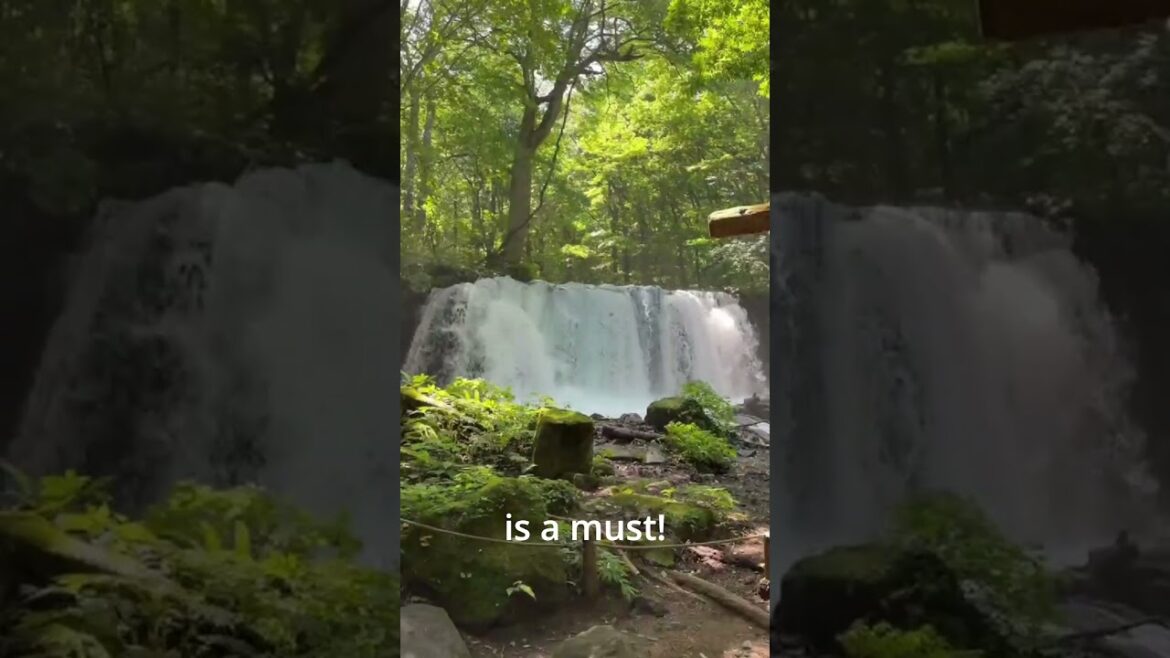 Tohoku’s Hidden Gems! Must-Visit Spots You Won’t Believe Exist in Japan #japanheritage #japantravel