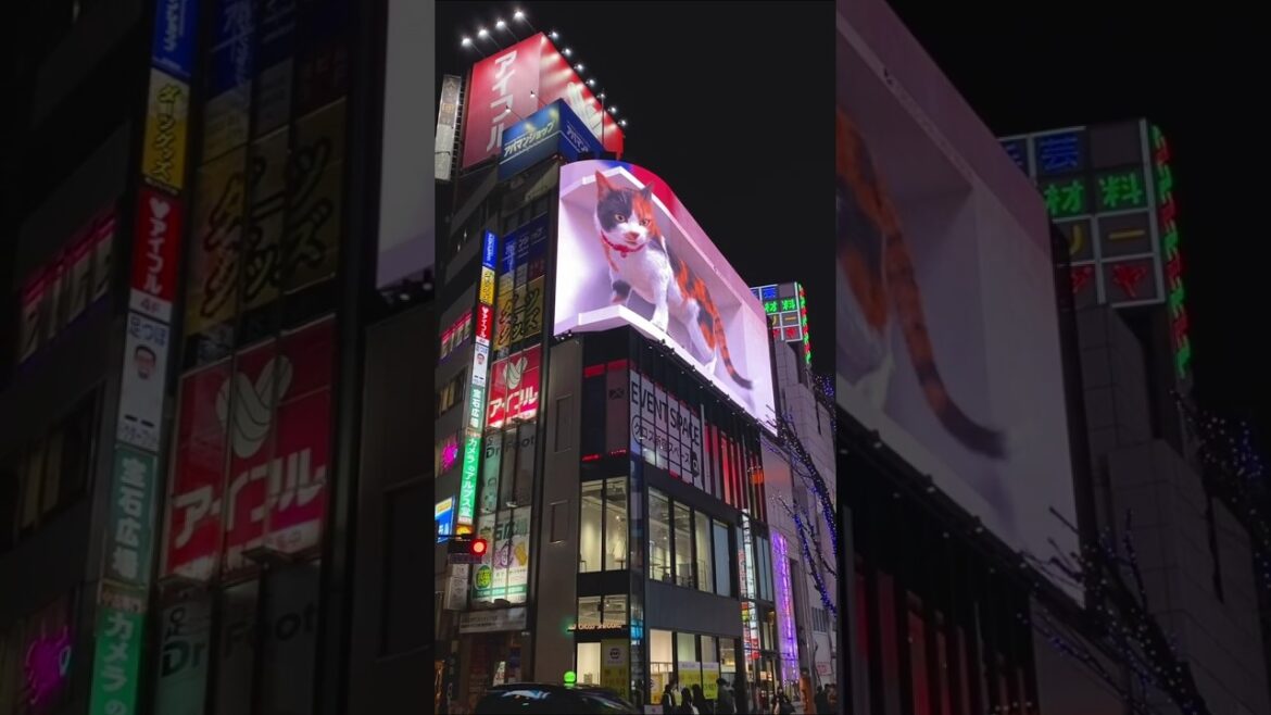 Sakura City: A Harmony of Love and Nature #travel #shorts