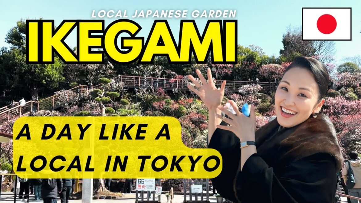 Beyond Tourist Spots: Experience a Quiet Japanese Weekend at Ikegami Plum Garden and Togoshi Shrine