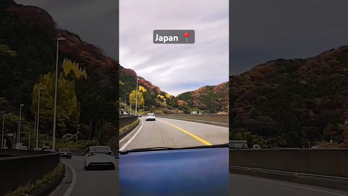 Japan travel ll Kawaguchiko ll #shorts #japan #travel #ytshort