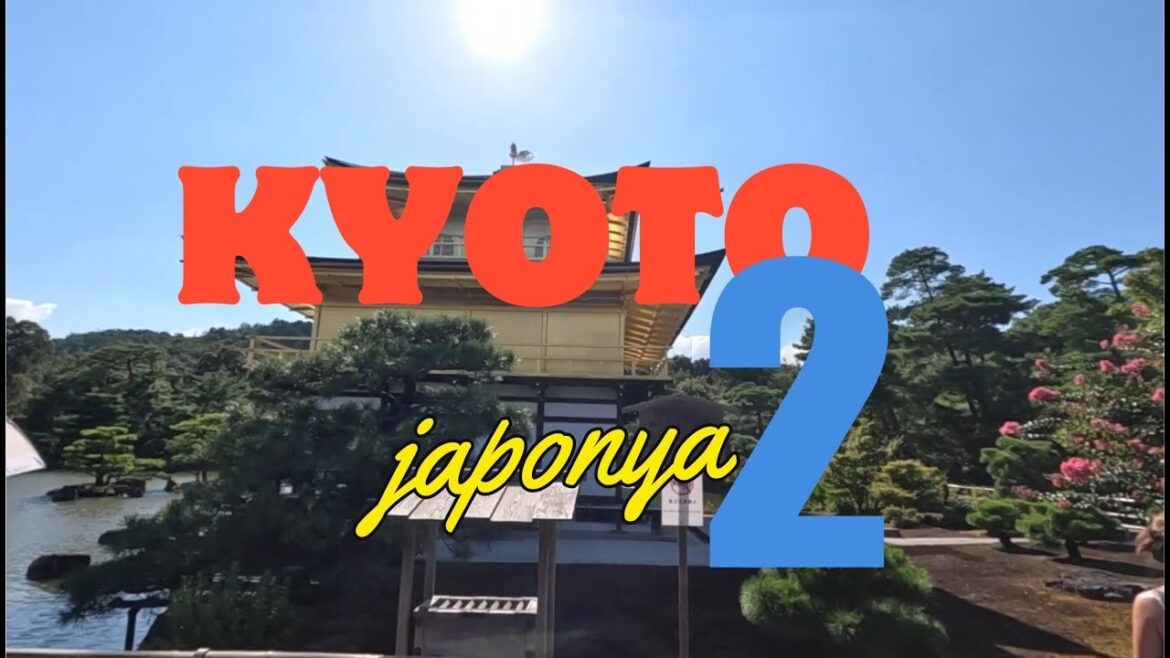 KYOTO, Maymun Parkı, Bambu Ormanı, Tapınaklar ve Yemek KYOTO, Maymun Parkı, Bambu Ormanı, Tapınaklar ve Yemek