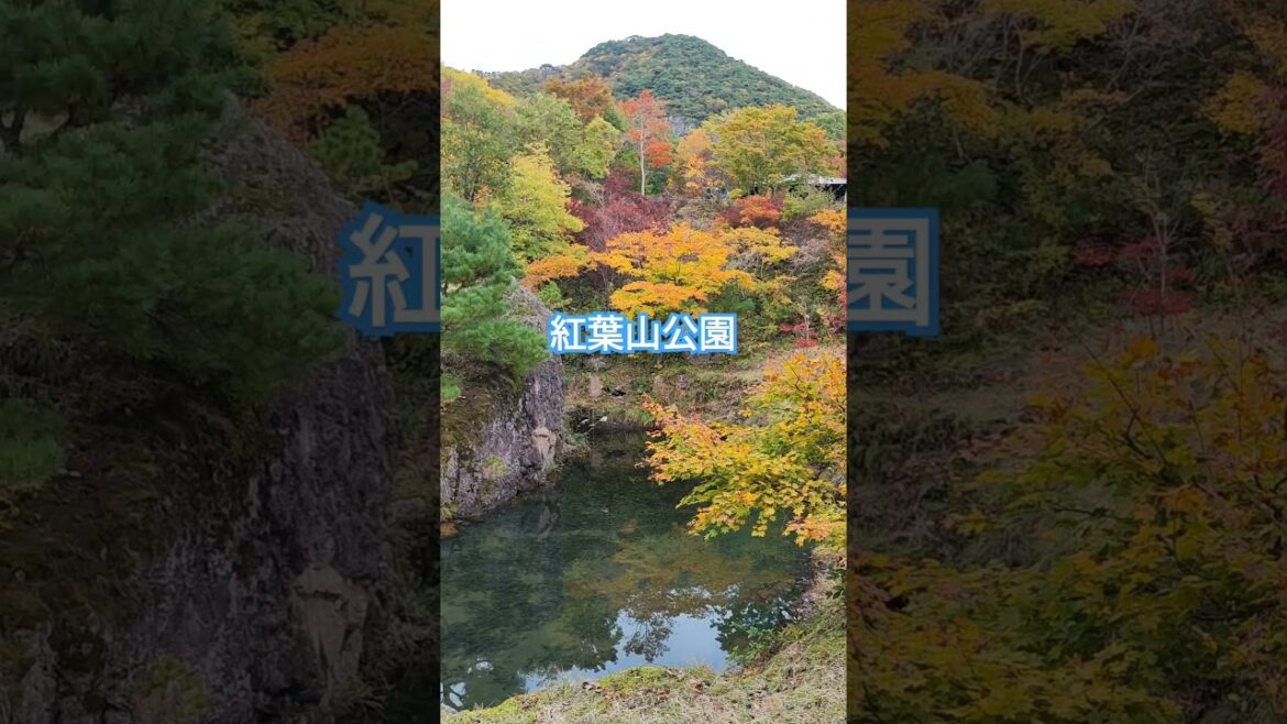 【佐渡めぐり】#紅葉山公園 #新潟県 #佐渡市#丸山#畑野#散策 #紅葉#紅葉山 #きれい#冬支度 #散歩 #佐渡が島