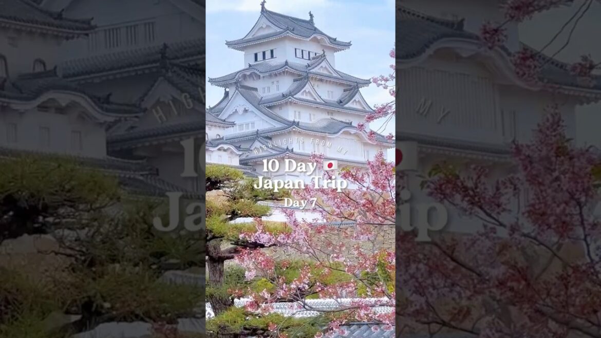 🎌 [Mini Vlog] 10-Day Japan Trip | Day 7: Kurashiki → Himeji 🏯 | #日本 #japantravel