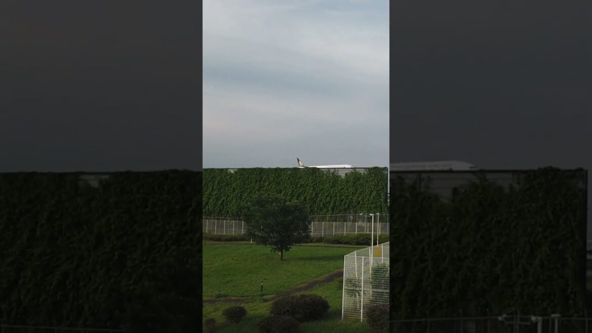 The landing #chibajapan #traveljapan #airplane The landing #chibajapan #traveljapan #airplane