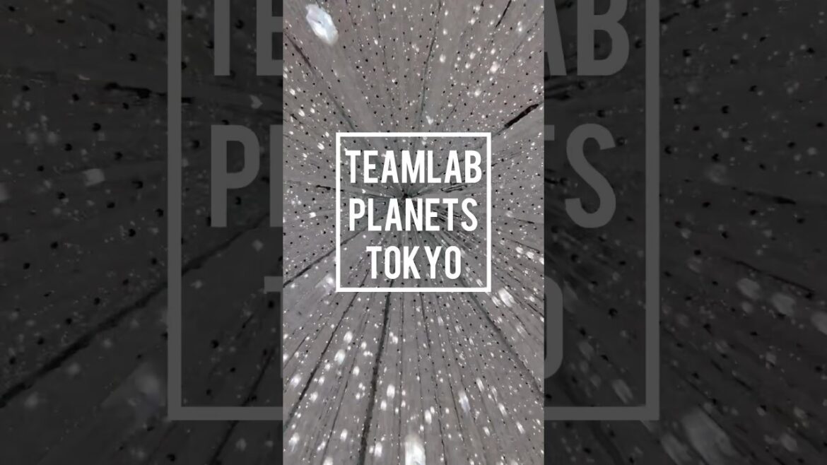 TeamLab Planets Tokyo| 60-Second Tour | Must See in Tokyo ✨ #TeamLabPlanets #TokyoTour #VisitTokyo TeamLab Planets Tokyo| 60-Second Tour | Must See in Tokyo ✨ #TeamLabPlanets #TokyoTour #VisitTokyo