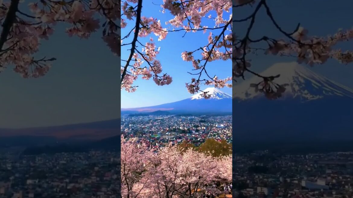 Mount Fuji in Japan #Mount Fuji #Japan