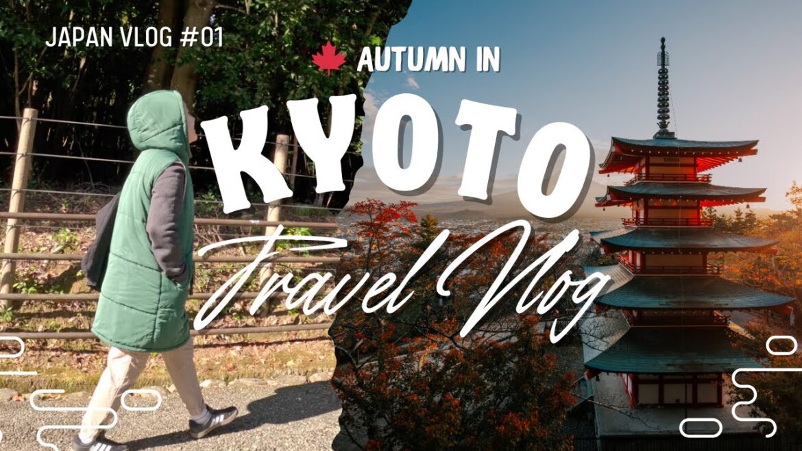 kyoto autumn travel vlog 🇯🇵 | arashiyama in november 🍁 Japan travel series episode 1