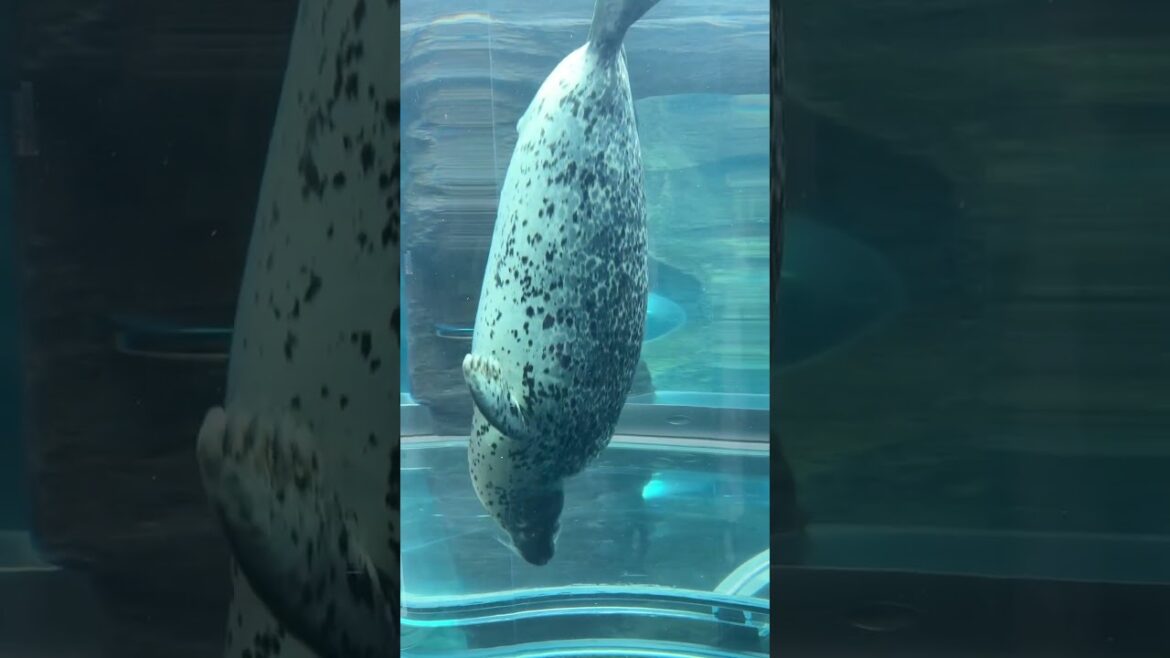 旭川観光1泊2日最強プラン