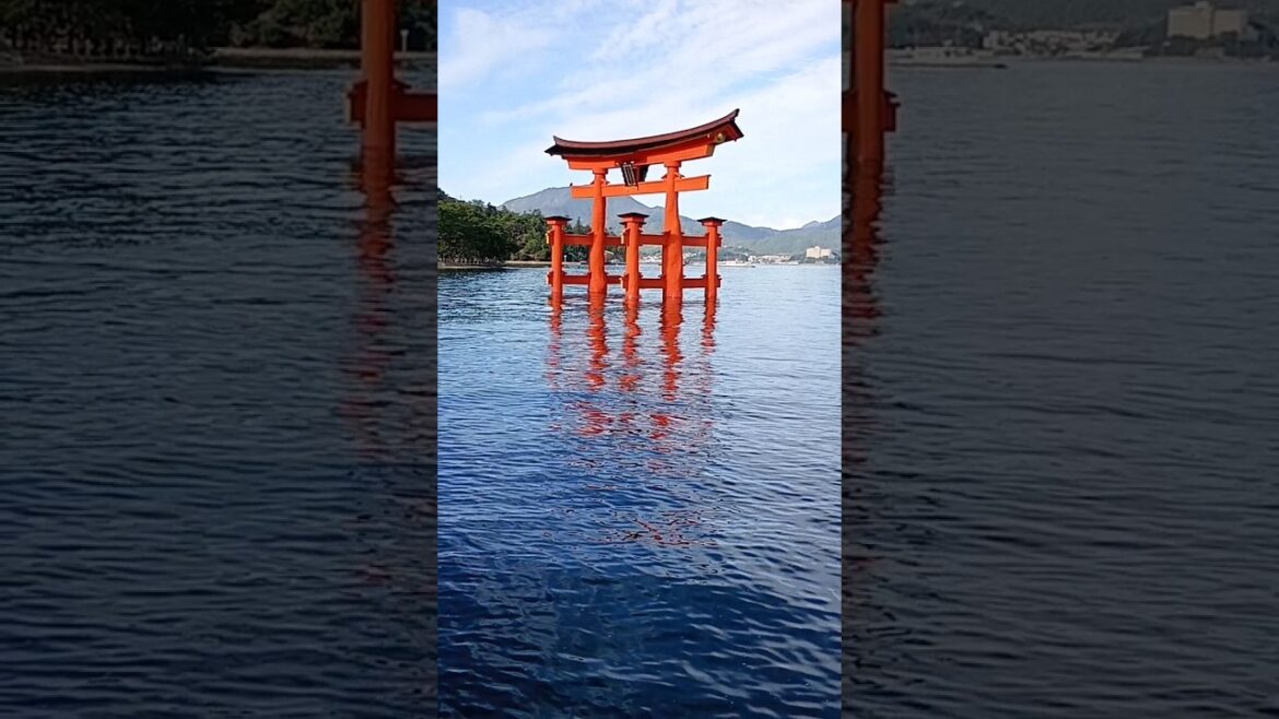 Miyajima island autumn 🍁 visit