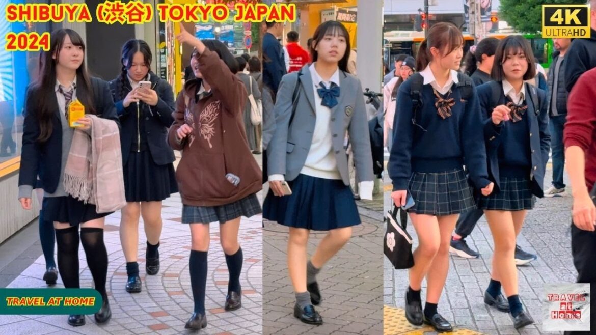 4k hdr Japan travel 2024 | Walk in Shibuya (渋谷) Tokyo Japan |  Relaxing Natural City ambience