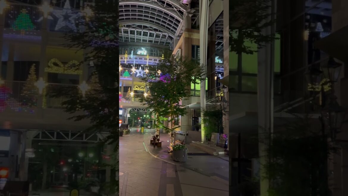 丸亀町ドームも冬の粧い〜#クリスマス#カオリピー #高松市