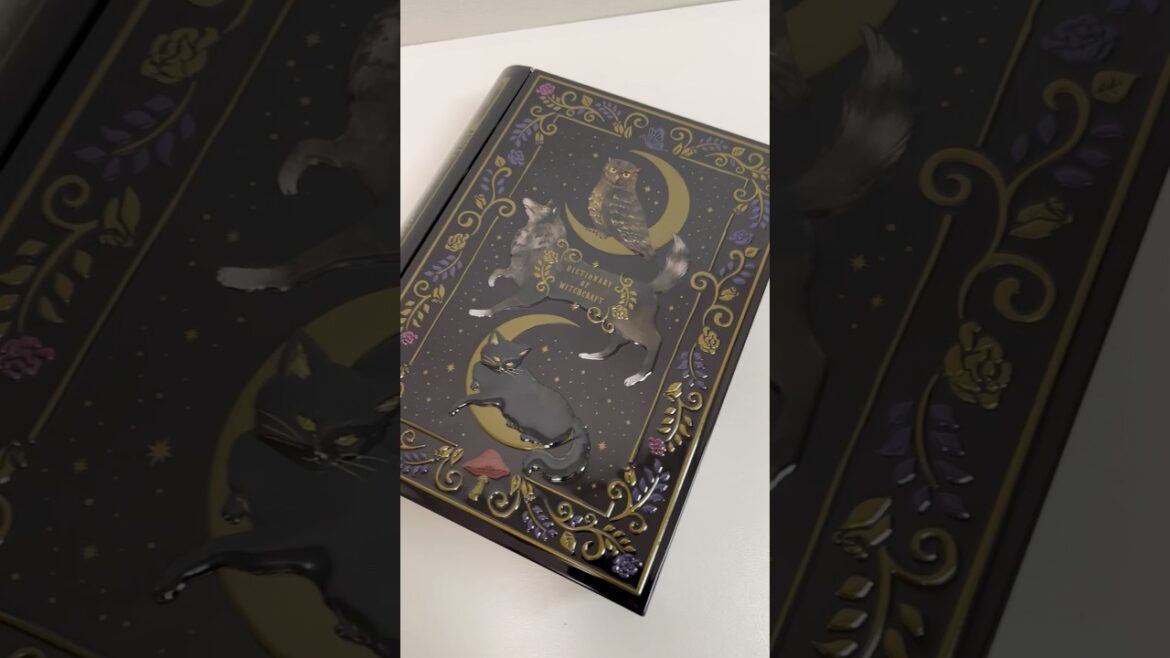 Dictionary of Witchcraft Tin Advent Calendar #shorts Dictionary of Witchcraft Tin Advent Calendar #shorts