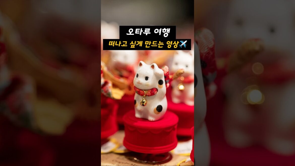 삿포로여행✈️이렇게 해야 제대로지!👌#삿포로여행 #오타루여행 #일본여행 #삿포로 #오타루 #오타루오르골당 #르타오 #sapporo #키타카로 #오타루맛집 #오타루운하