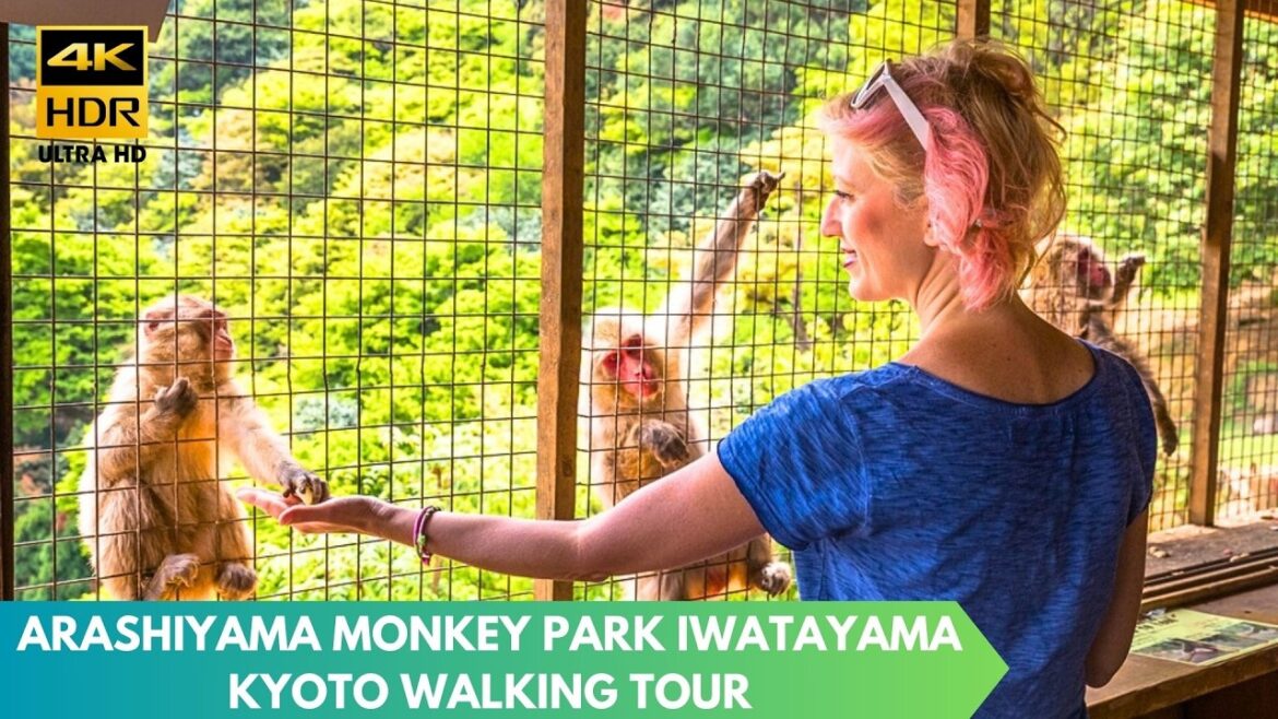 KYOTO MOST UNIQUE SPOT! Arashiyama Monkey Park Iwatayama Walking Tour [4K60 HDR]