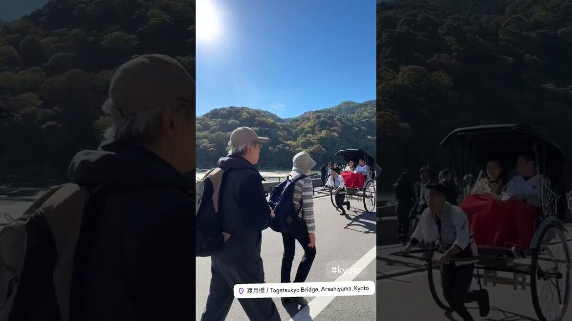 Arashiyama, Kyoto Now 2024 Autumn🍂 #japantravel #japanheritage #travel