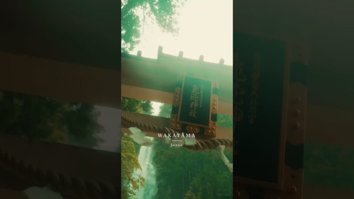 Japan’s Tallest Waterfall: Nachi Falls Will Leave You Speechless! 🌊✨ #japan #waterfall #shorts Japan's Tallest Waterfall: Nachi Falls Will Leave You Speechless! 🌊✨ #japan #waterfall #shorts