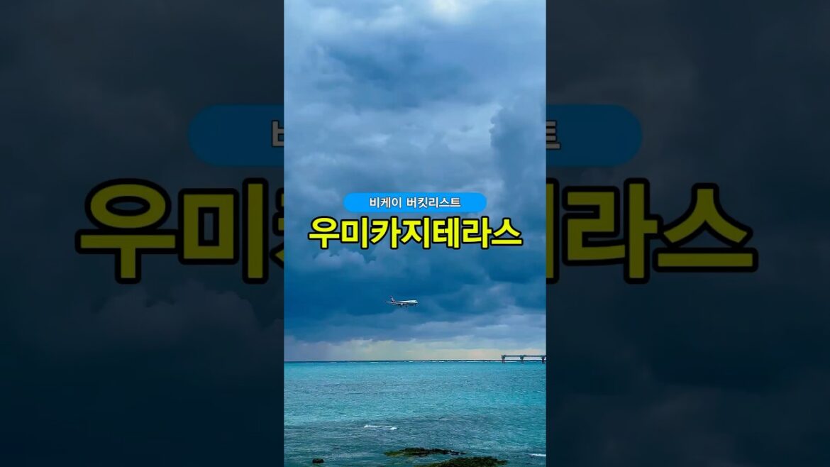 오키나와에서 비행기 착륙을 가까이서! 우미카지 테라스 경험