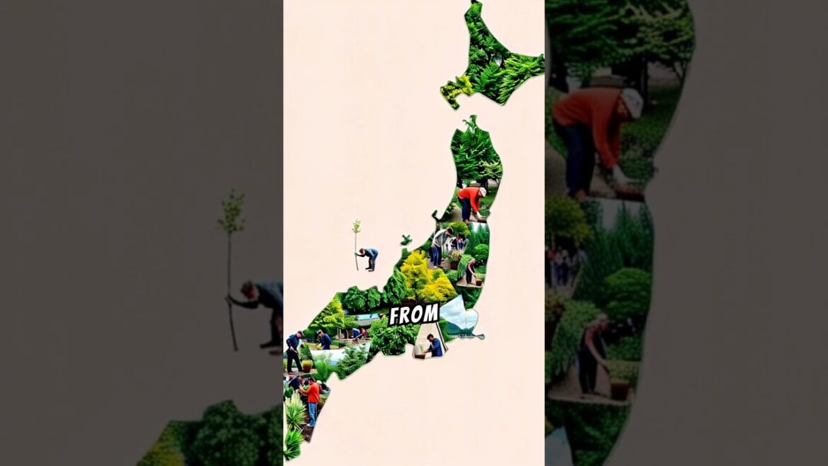 You won't believe this sacred Tokyo spot! #MeijiShrine #Tokyo #Japan #Shinto #temple #sacred #nature