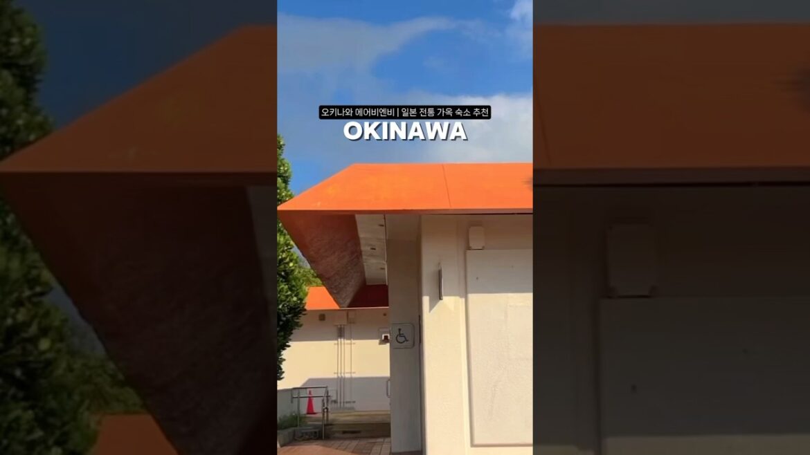 오키나와 숙소 추천 에어비엔비 숙소 오키나와 숙소 추천 에어비엔비 숙소